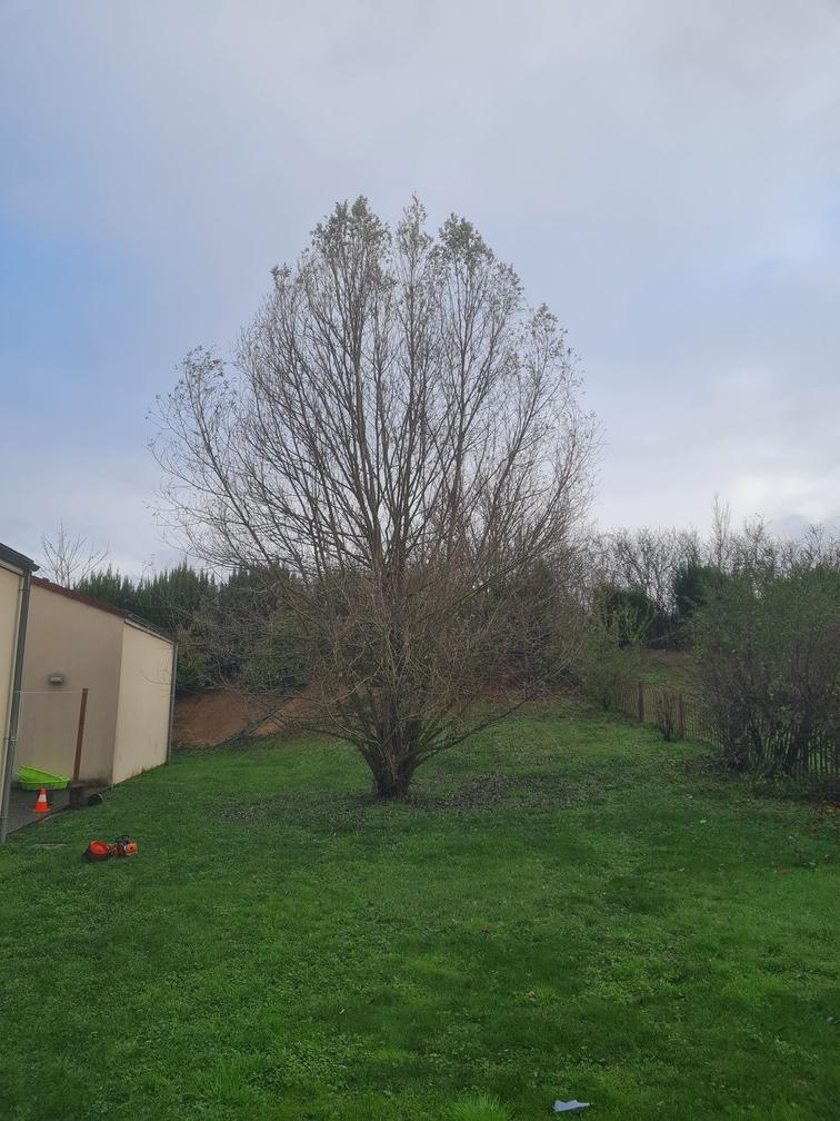 SANDY CAPLOT (2).jpg